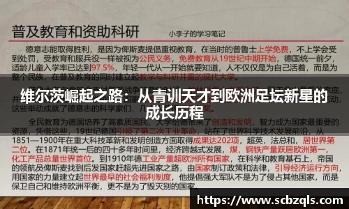 TVT体育官方网站