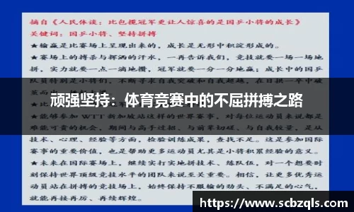 TVT体育官网